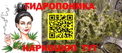 apvp Кандалакша
