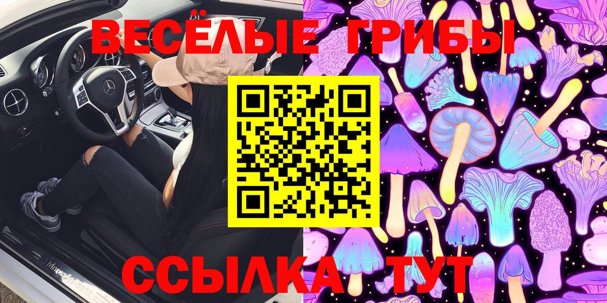 Златоуст  Псилоцибиновые грибы Cubensis  Галлюциногенные грибы мицелий  даркнет сайт  Вход с VPN 